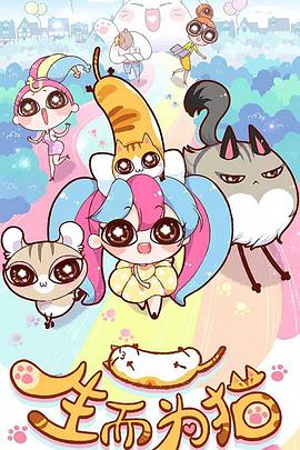 滨州网站优化优势排名